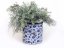 Jar for Utensil 15 cm (6")   Dragonfly