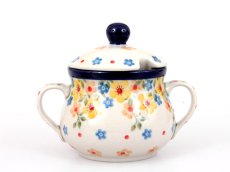 Sugar Bowl Spring