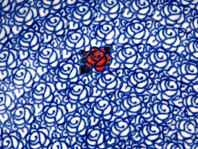 Shallow Plate 25 cm (10")   Roses