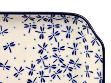 Platter 42 cm (16")   Damselfly