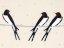 Platter 42 cm (16")   Swallows UNIKAT