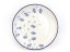 Shallow Plate 25 cm (10")  Apiaceae