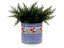 Jar for Utensil 15 cm (6")   Summer Meadow