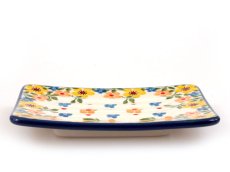 Soap Dish   Spring