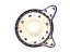 Lemon Squeezer   Frozen Meadow