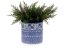 Jar for Utensil 15 cm (6")   Blue Garden