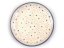Small Dessert Plate 16 cm (6")   Snow Flowers